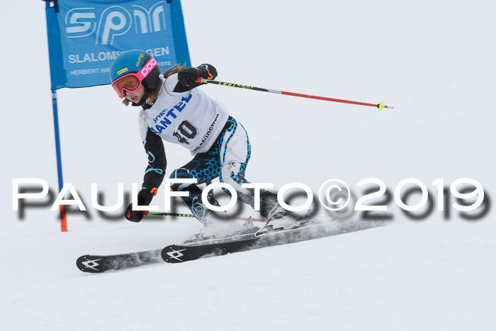 SVM U8/U10 Rennserie RS 13.04.2019