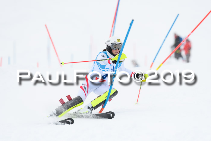 NJR Slalom Damen + Herren, Pass Thurn, 16.11.2019