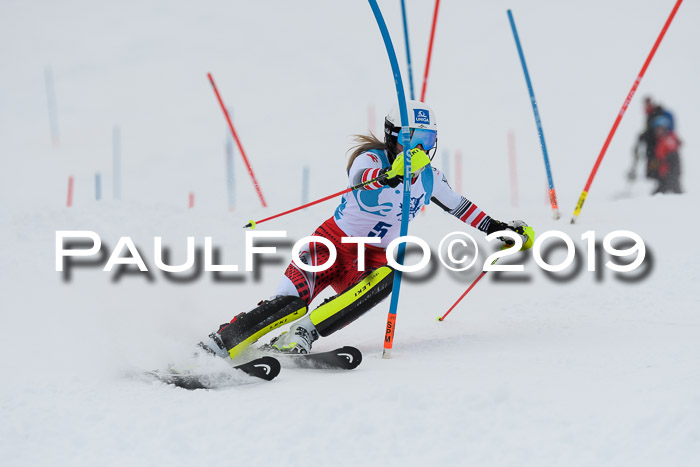 NJR Slalom Damen + Herren, Pass Thurn, 16.11.2019