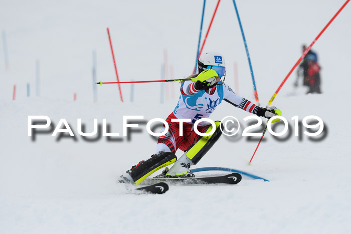 NJR Slalom Damen + Herren, Pass Thurn, 16.11.2019