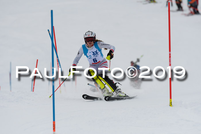 NJR Slalom Damen + Herren, Pass Thurn, 16.11.2019