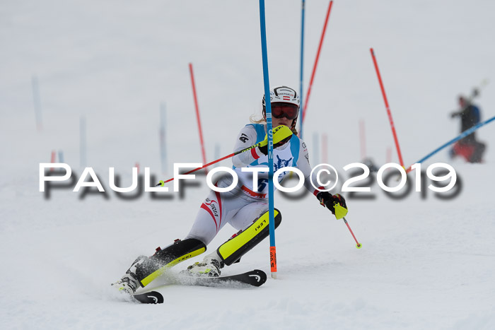 NJR Slalom Damen + Herren, Pass Thurn, 16.11.2019