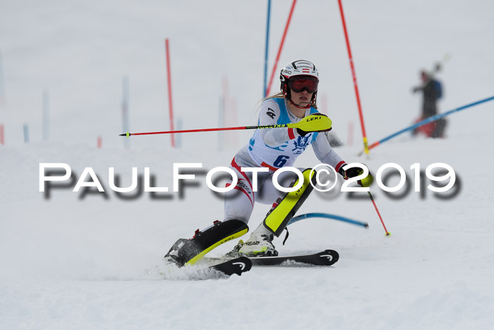 NJR Slalom Damen + Herren, Pass Thurn, 16.11.2019