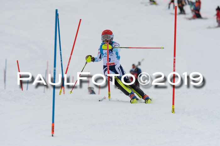 NJR Slalom Damen + Herren, Pass Thurn, 16.11.2019