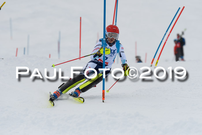 NJR Slalom Damen + Herren, Pass Thurn, 16.11.2019