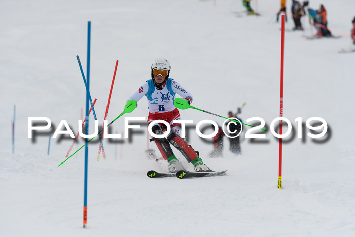 NJR Slalom Damen + Herren, Pass Thurn, 16.11.2019