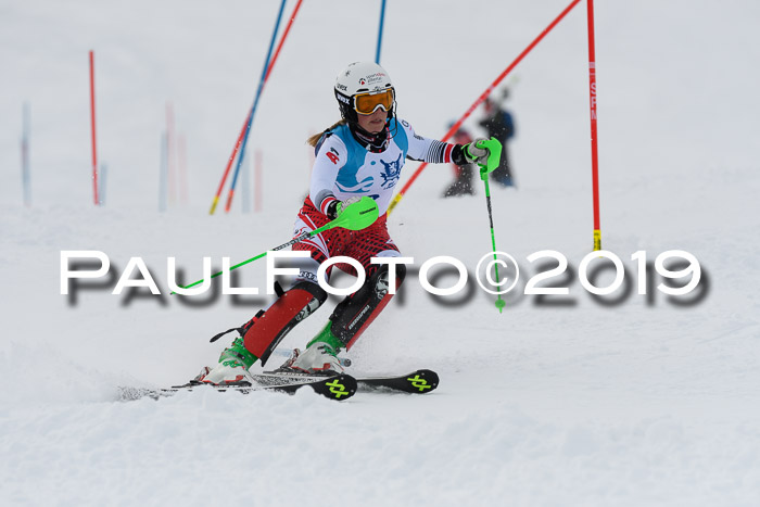 NJR Slalom Damen + Herren, Pass Thurn, 16.11.2019