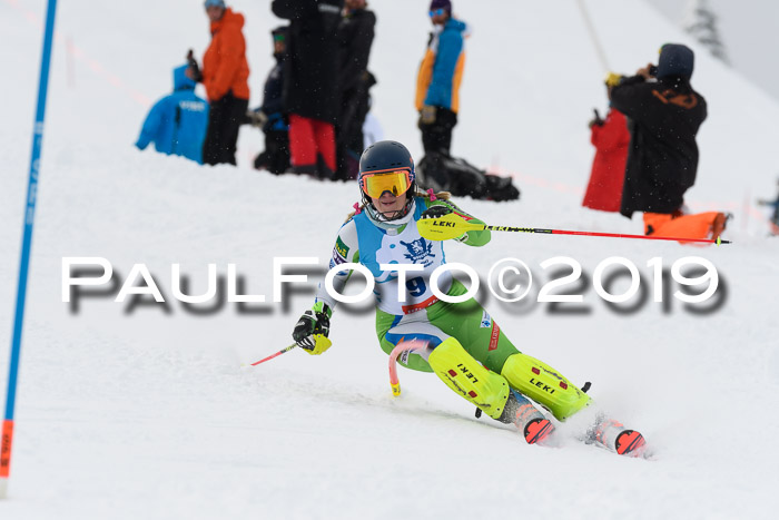 NJR Slalom Damen + Herren, Pass Thurn, 16.11.2019