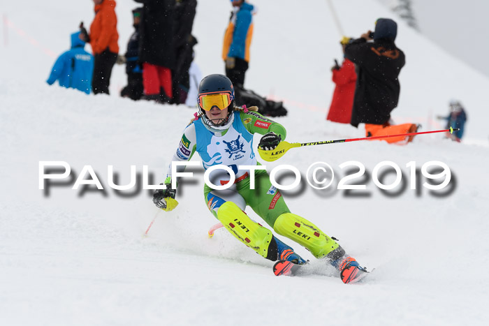 NJR Slalom Damen + Herren, Pass Thurn, 16.11.2019