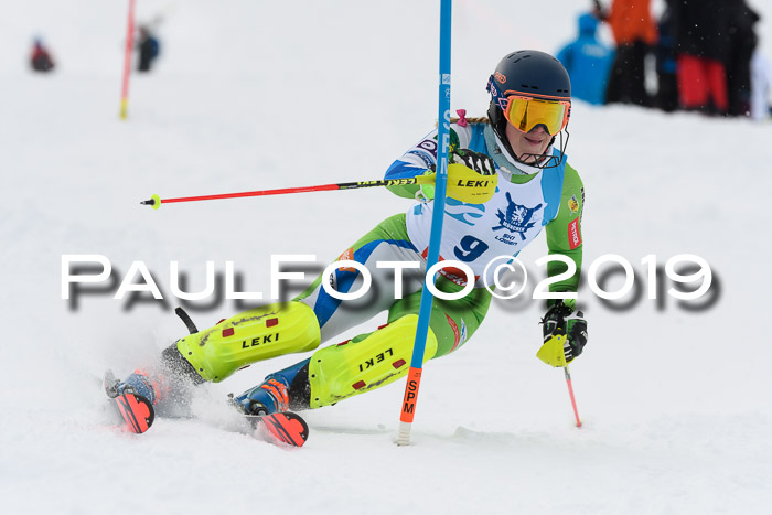 NJR Slalom Damen + Herren, Pass Thurn, 16.11.2019