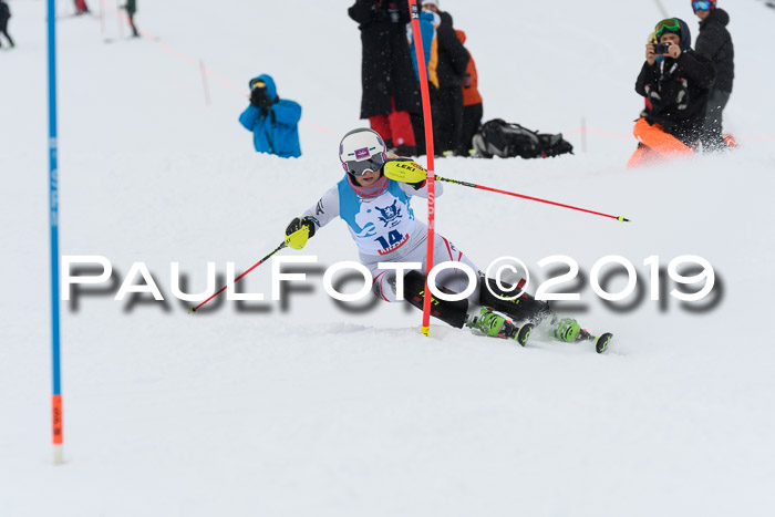 NJR Slalom Damen + Herren, Pass Thurn, 16.11.2019