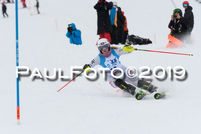 NJR Slalom Damen + Herren, Pass Thurn, 16.11.2019