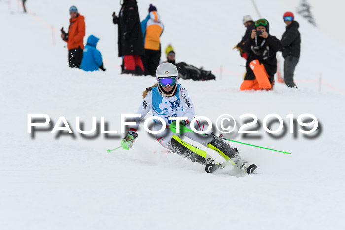 NJR Slalom Damen + Herren, Pass Thurn, 16.11.2019