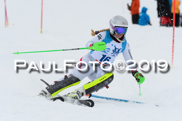 NJR Slalom Damen + Herren, Pass Thurn, 16.11.2019