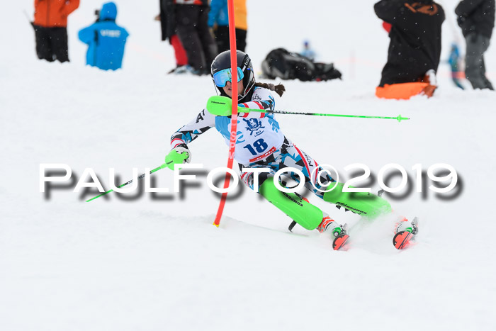 NJR Slalom Damen + Herren, Pass Thurn, 16.11.2019