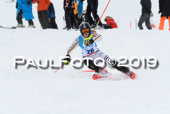 NJR Slalom Damen + Herren, Pass Thurn, 16.11.2019