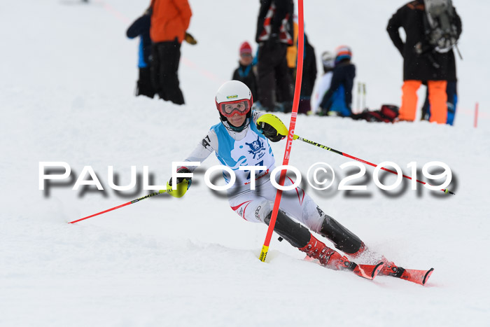 NJR Slalom Damen + Herren, Pass Thurn, 16.11.2019