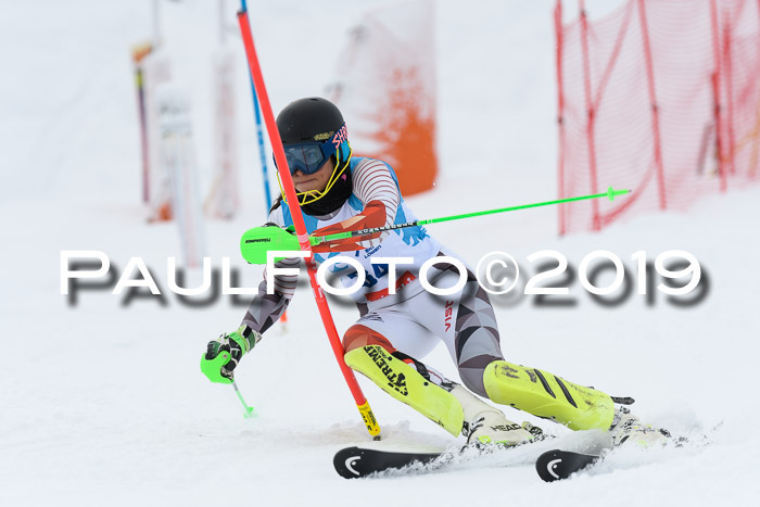 NJR Slalom Damen + Herren, Pass Thurn, 16.11.2019