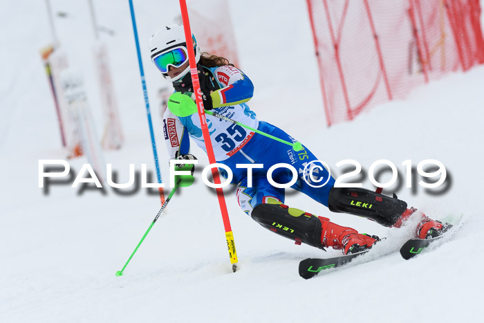 NJR Slalom Damen + Herren, Pass Thurn, 16.11.2019
