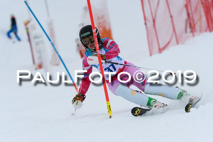 NJR Slalom Damen + Herren, Pass Thurn, 16.11.2019