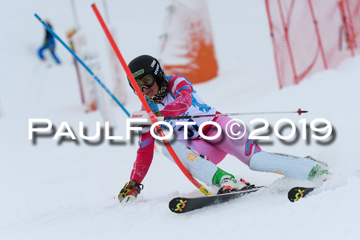 NJR Slalom Damen + Herren, Pass Thurn, 16.11.2019