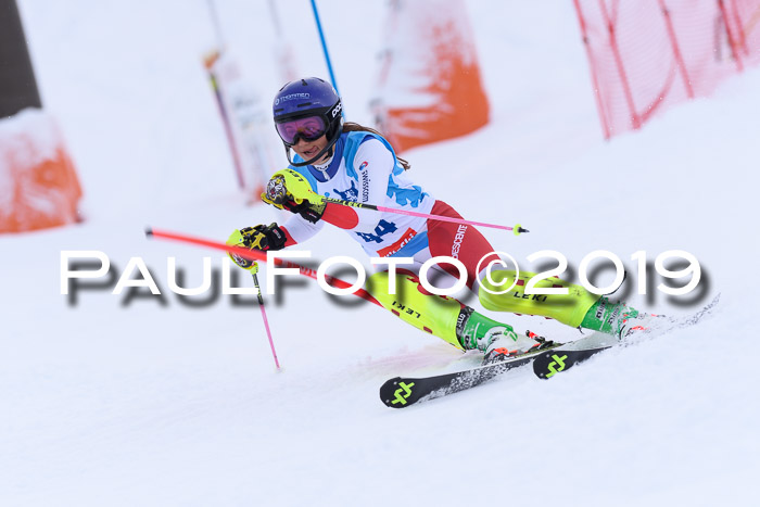 NJR Slalom Damen + Herren, Pass Thurn, 16.11.2019