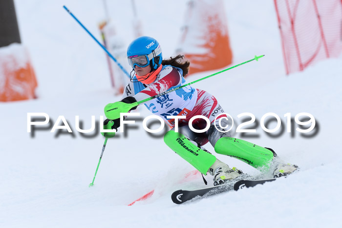 NJR Slalom Damen + Herren, Pass Thurn, 16.11.2019