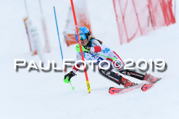 NJR Slalom Damen + Herren, Pass Thurn, 16.11.2019