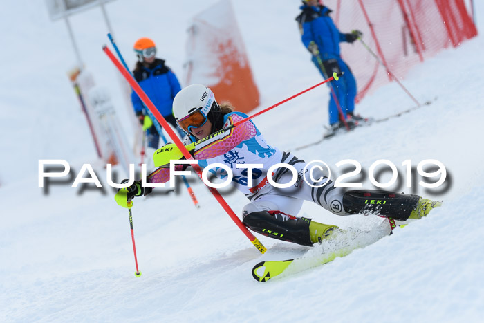 NJR Slalom Damen + Herren, Pass Thurn, 16.11.2019