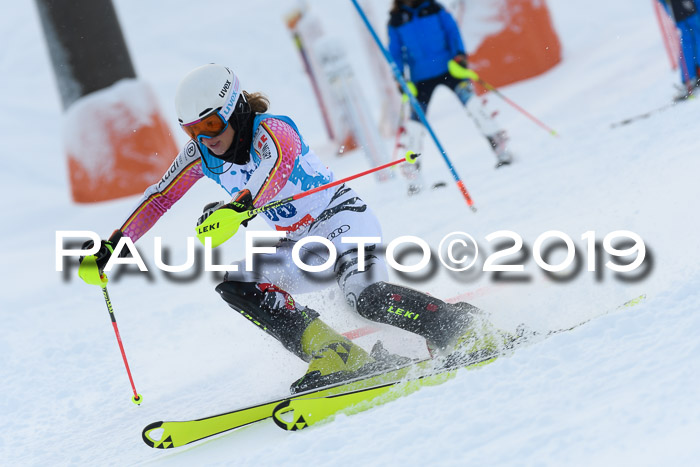NJR Slalom Damen + Herren, Pass Thurn, 16.11.2019
