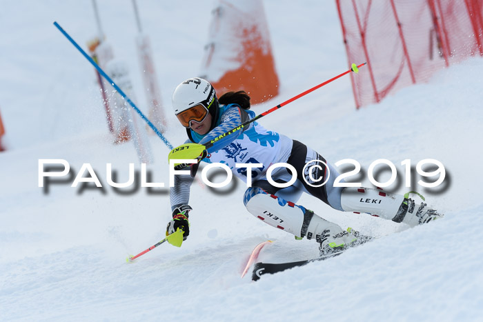 NJR Slalom Damen + Herren, Pass Thurn, 16.11.2019