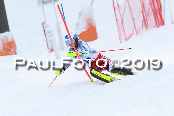 NJR Slalom Damen + Herren, Pass Thurn, 16.11.2019
