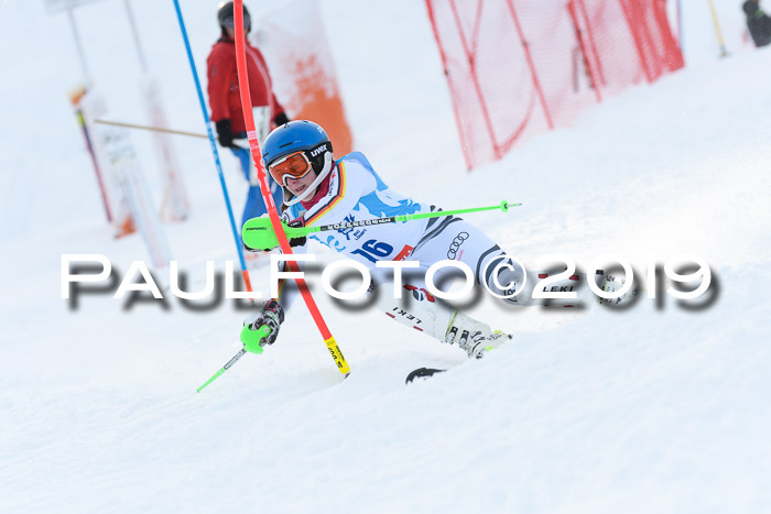 NJR Slalom Damen + Herren, Pass Thurn, 16.11.2019