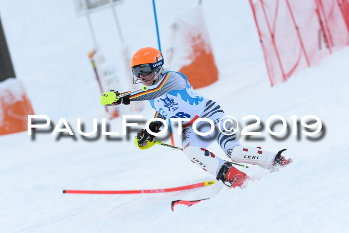 NJR Slalom Damen + Herren, Pass Thurn, 16.11.2019