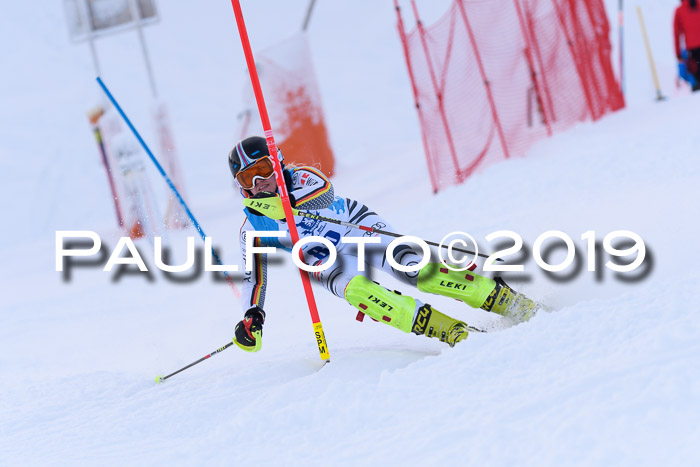 NJR Slalom Damen + Herren, Pass Thurn, 16.11.2019