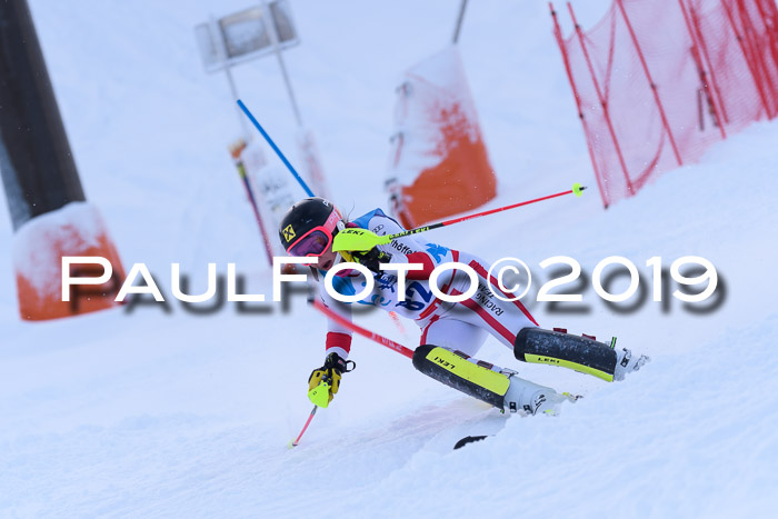 NJR Slalom Damen + Herren, Pass Thurn, 16.11.2019