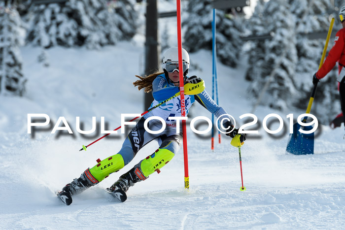 NJR Slalom Damen + Herren, Pass Thurn, 16.11.2019