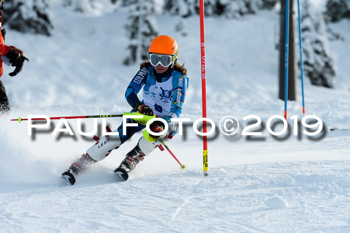 NJR Slalom Damen + Herren, Pass Thurn, 16.11.2019