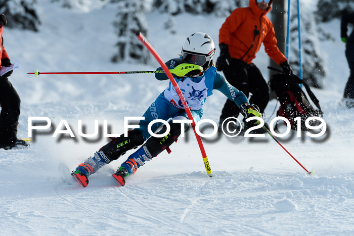 NJR Slalom Damen + Herren, Pass Thurn, 16.11.2019