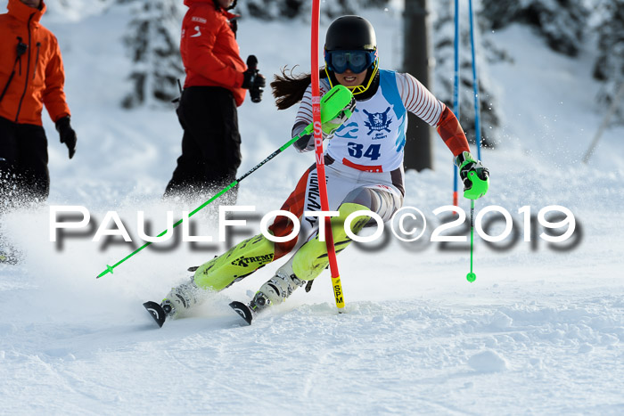 NJR Slalom Damen + Herren, Pass Thurn, 16.11.2019