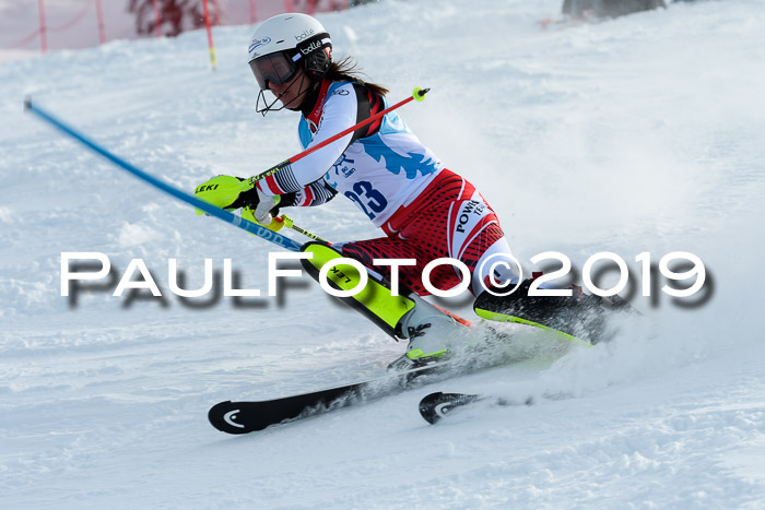 NJR Slalom Damen + Herren, Pass Thurn, 16.11.2019
