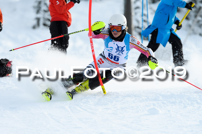 NJR Slalom Damen + Herren, Pass Thurn, 16.11.2019