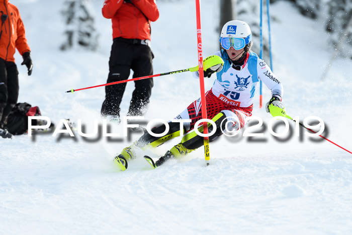 NJR Slalom Damen + Herren, Pass Thurn, 16.11.2019