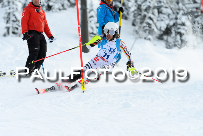 NJR Slalom Damen + Herren, Pass Thurn, 16.11.2019