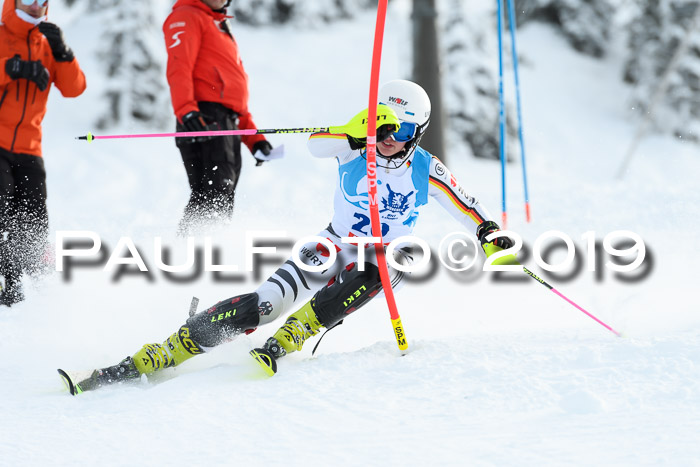 NJR Slalom Damen + Herren, Pass Thurn, 16.11.2019