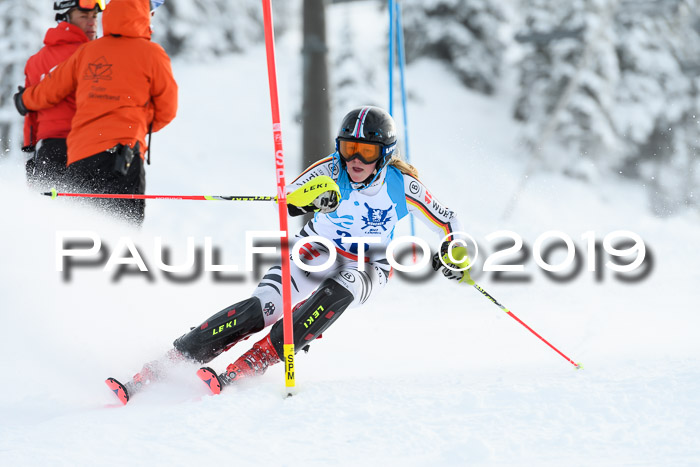 NJR Slalom Damen + Herren, Pass Thurn, 16.11.2019