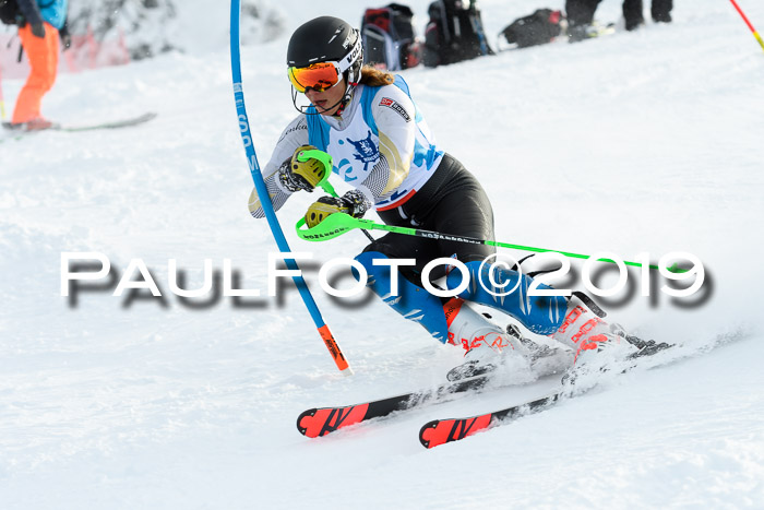 NJR Slalom Damen + Herren, Pass Thurn, 16.11.2019