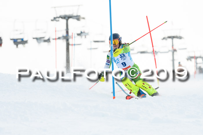 NJR Slalom Damen + Herren, Pass Thurn, 16.11.2019