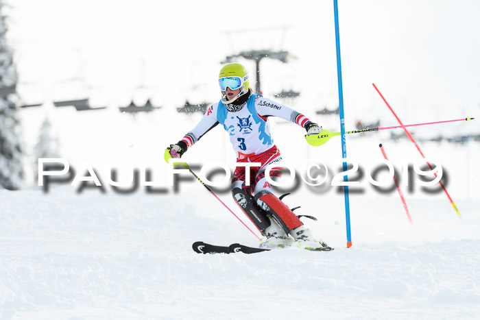 NJR Slalom Damen + Herren, Pass Thurn, 16.11.2019