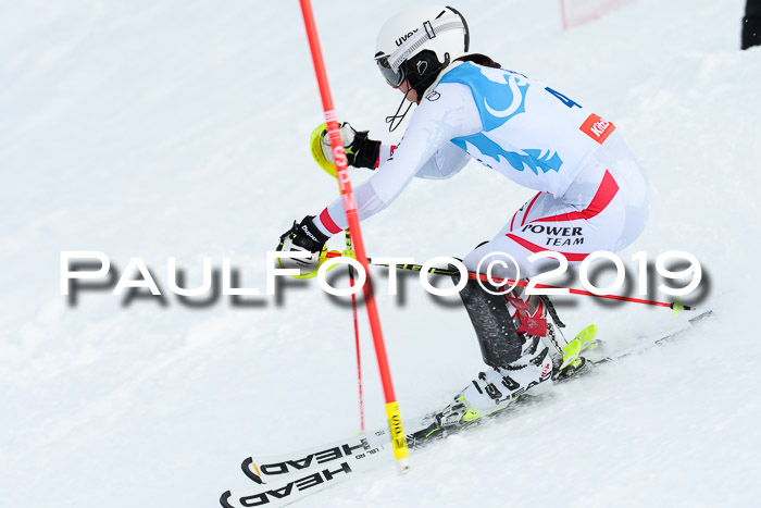 NJR Slalom Damen + Herren, Pass Thurn, 16.11.2019